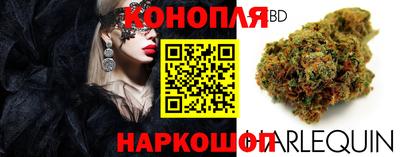 прущий лед Будённовск